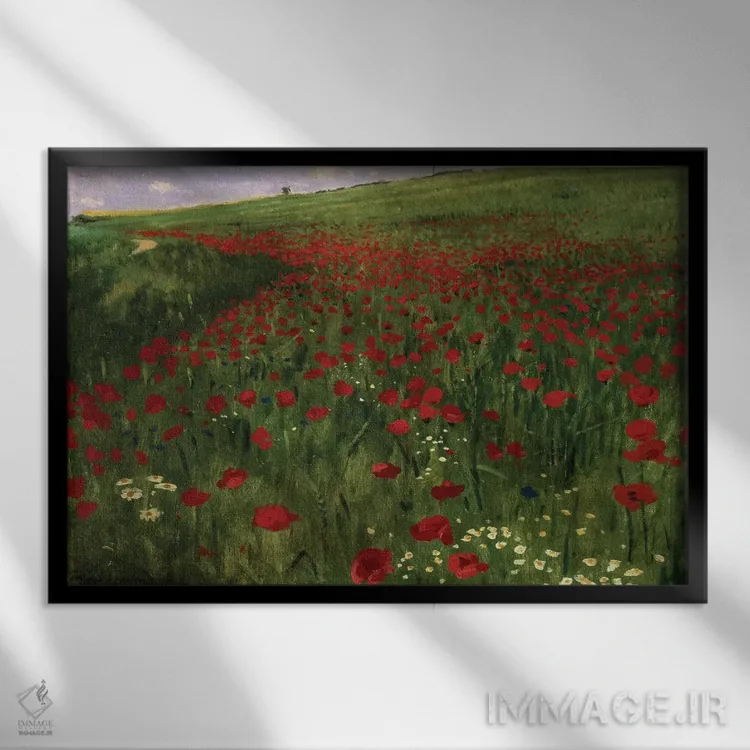 تابلو 1896,دشت شقایق، ۱۸۹۶ اثر پال سینیـئی مرسه - نمای قابدار مشکی