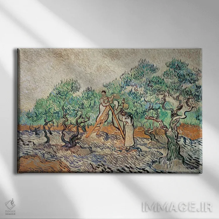 تابلو 1889,باغ زیتون، ۱۸۸۹ اثر ونسان ون گوگ (نقاش مشهور هلندی پستامپرسیونیسم) - نمای روبهرو روی دیوار