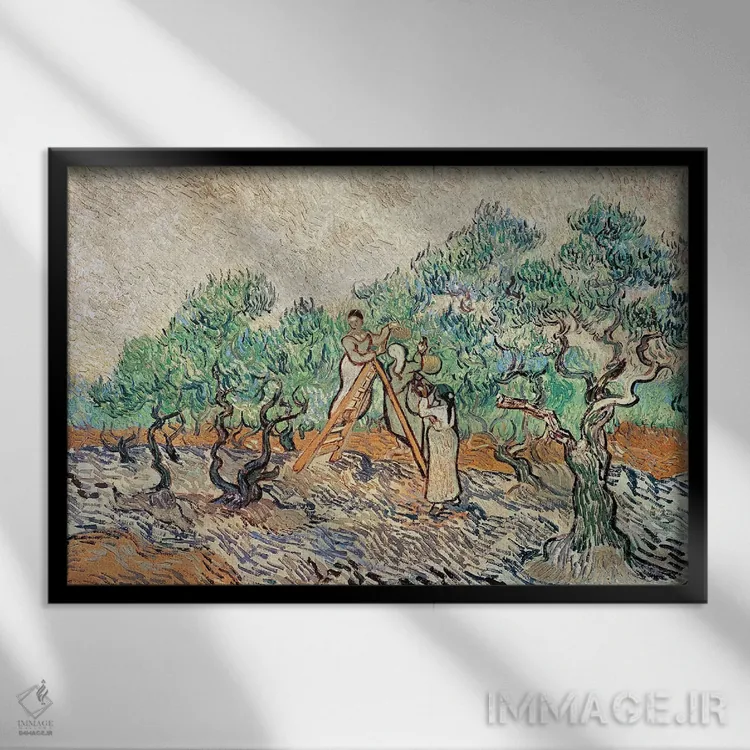 تابلو 1889,باغ زیتون، ۱۸۸۹ اثر ونسان ون گوگ (نقاش مشهور هلندی پستامپرسیونیسم) - نمای قابدار مشکی