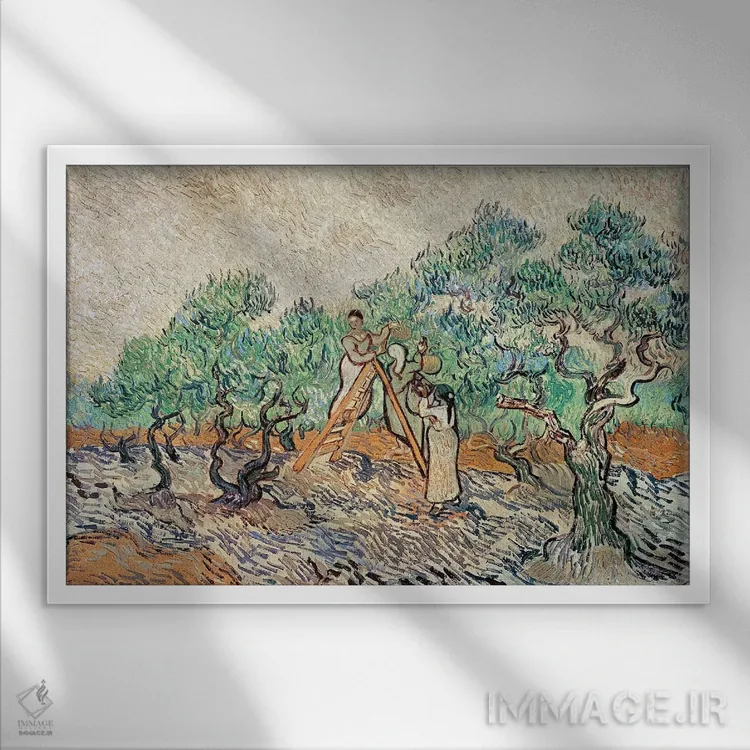 تابلو 1889,باغ زیتون، ۱۸۸۹ اثر ونسان ون گوگ (نقاش مشهور هلندی پستامپرسیونیسم) - نمای قابدار سفید