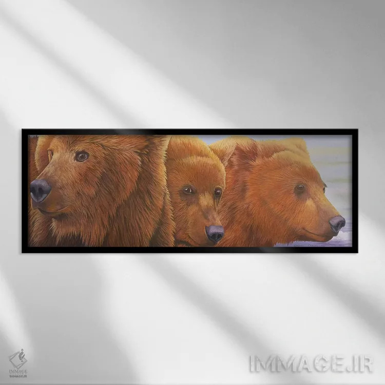 تابلو آلاسکا در راه است ۲ اثر گرائیم استیونسون - نمای قابدار مشکی