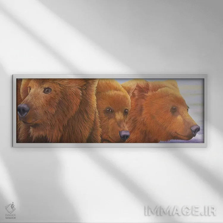 تابلو آلاسکا در راه است ۲ اثر گرائیم استیونسون - نمای قابدار سفید