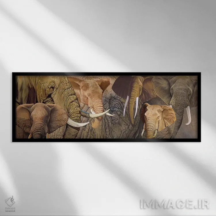 تابلو فیل بلند (نام خاص) اثر گرائیم استیونسون - نمای قابدار مشکی