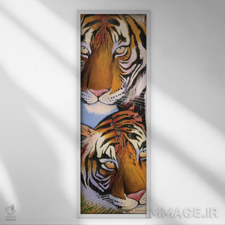 تابلو ببر ببر اثر گرائیم استیونسون - نمای قابدار سفید