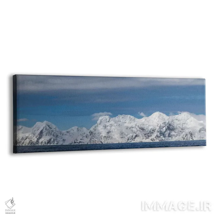 تابلو Elephant Island, panorama,جنوبگان، جزیره فیل، پانوراما اثر جورج تئودور - نمای پرسپکتیو محصول