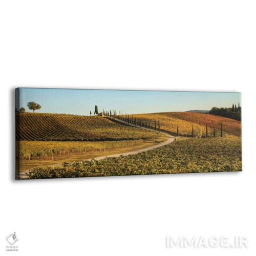 تابلو Tuscany, Vineyard, Late Light,ایتالیا، توسکانی، تاکستان، نور غروب اثر جورج تئودور - نمای پرسپکتیو محصول