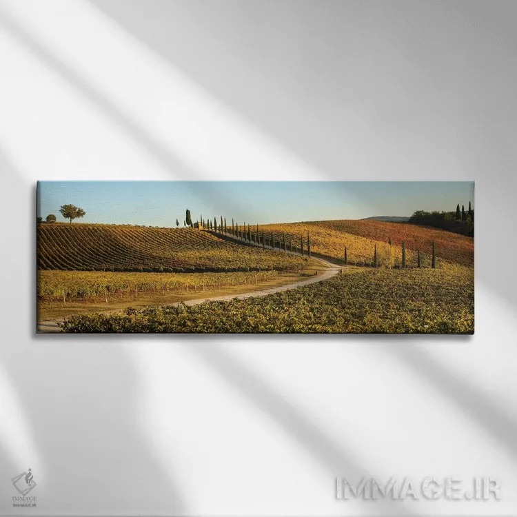 تابلو Tuscany, Vineyard, Late Light,ایتالیا، توسکانی، تاکستان، نور غروب اثر جورج تئودور - نمای روبهرو روی دیوار