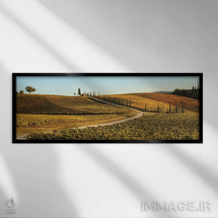 تابلو Tuscany, Vineyard, Late Light,ایتالیا، توسکانی، تاکستان، نور غروب اثر جورج تئودور - نمای قابدار مشکی