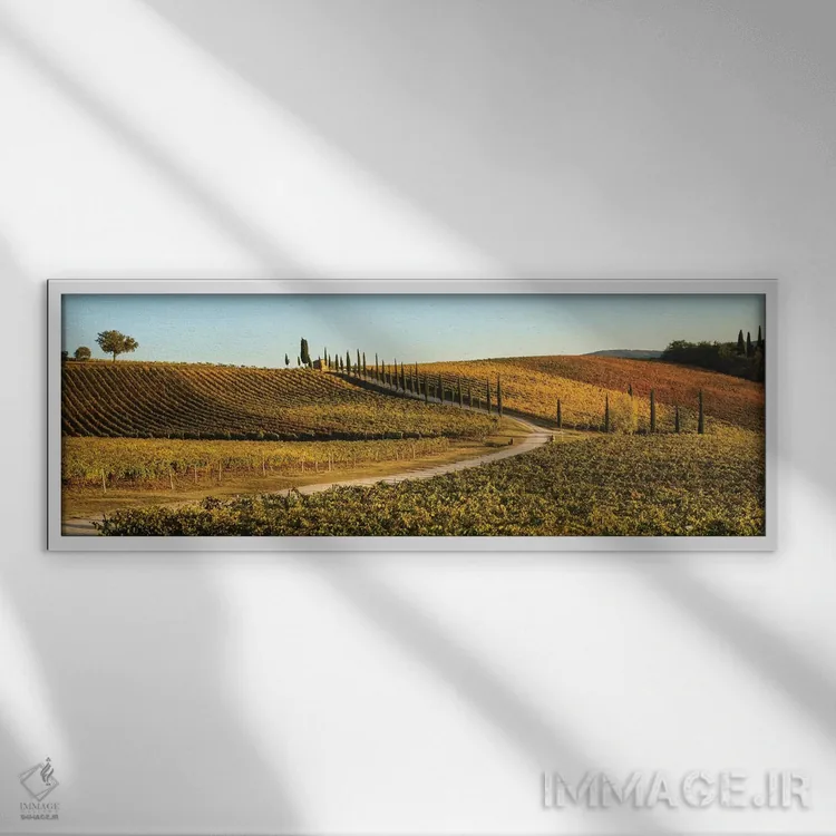 تابلو Tuscany, Vineyard, Late Light,ایتالیا، توسکانی، تاکستان، نور غروب اثر جورج تئودور - نمای قابدار سفید