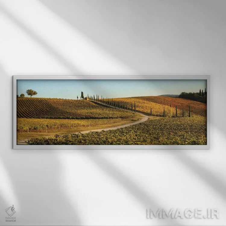 تابلو Tuscany, Vineyard, Late Light,ایتالیا، توسکانی، تاکستان، نور غروب اثر جورج تئودور - نمای قابدار سفید