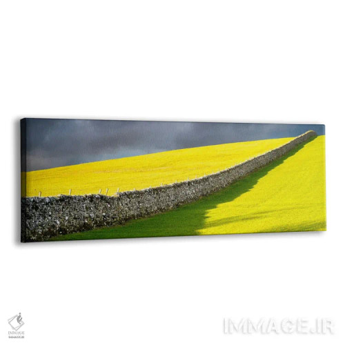 تابلو دالهای یورکشایر (انگلستان) اثر استیفن هاجتس - نمای پرسپکتیو محصول