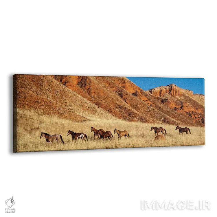 تابلو Shell, Horses Running,وایومینگ، شل، اسبها در حال دویدن اثر هولیس لونی - نمای پرسپکتیو محصول