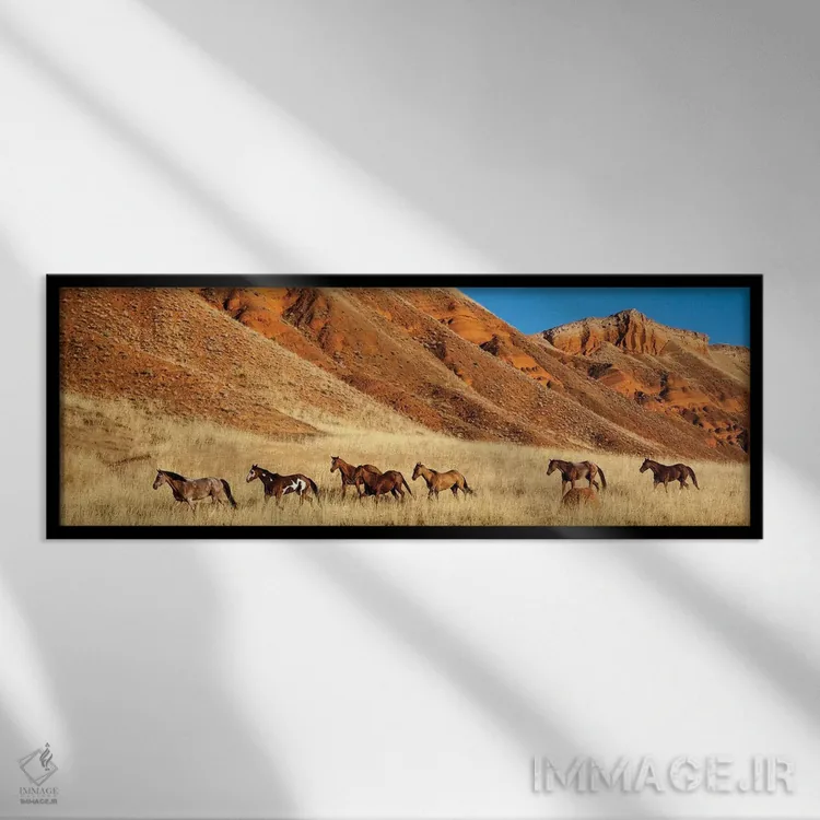 تابلو Shell, Horses Running,وایومینگ، شل، اسبها در حال دویدن اثر هولیس لونی - نمای قابدار مشکی