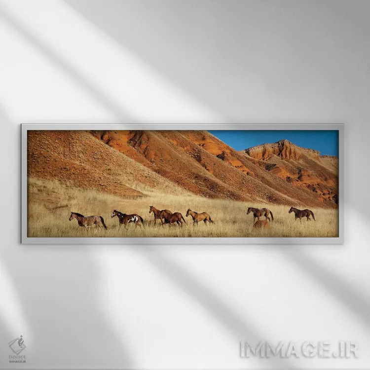 تابلو Shell, Horses Running,وایومینگ، شل، اسبها در حال دویدن اثر هولیس لونی - نمای قابدار سفید