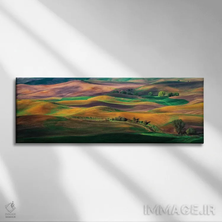 تابلو پالوس (منطقه کشاورزی آمریکا) اثر هوا ژو - نمای روبهرو روی دیوار