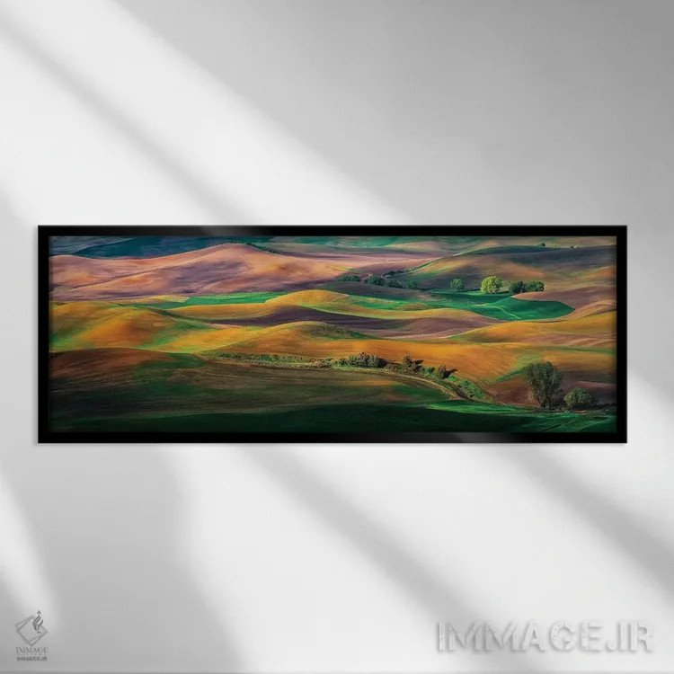 تابلو پالوس (منطقه کشاورزی آمریکا) اثر هوا ژو - نمای قابدار مشکی