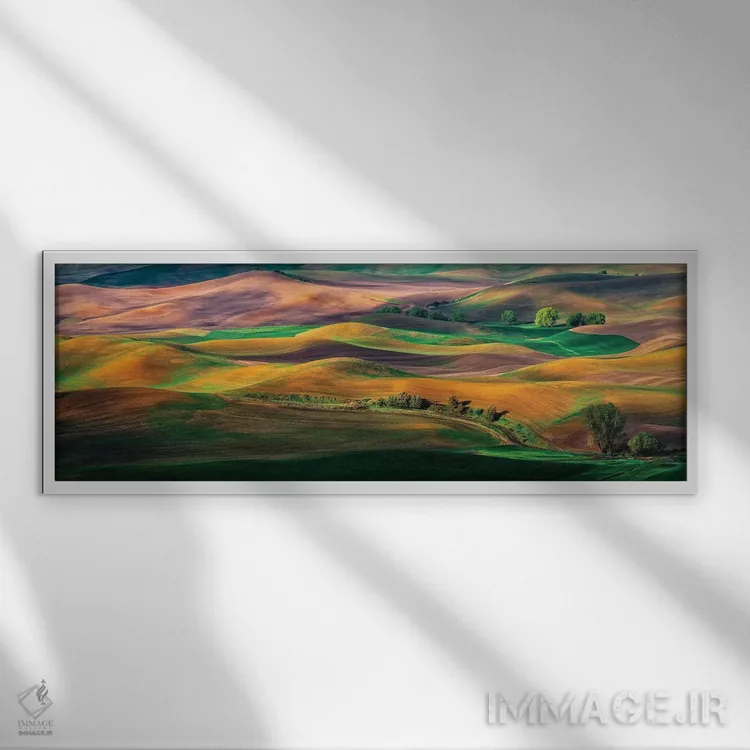 تابلو پالوس (منطقه کشاورزی آمریکا) اثر هوا ژو - نمای قابدار سفید