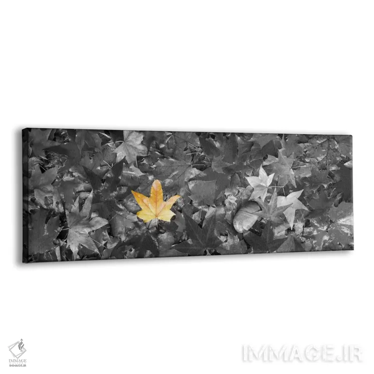 تابلو برگهای افرا با رنگ تقویتی اثر پانورامیک ایمجز (استودیو عکاسی عریض) - نمای پرسپکتیو محصول