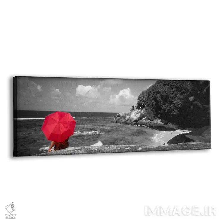 تابلو جزیره موین اقیانوس هند سیشل با رنگ تقویتی اثر پانورامیک ایمجز (استودیو عکاسی عریض) - نمای پرسپکتیو محصول