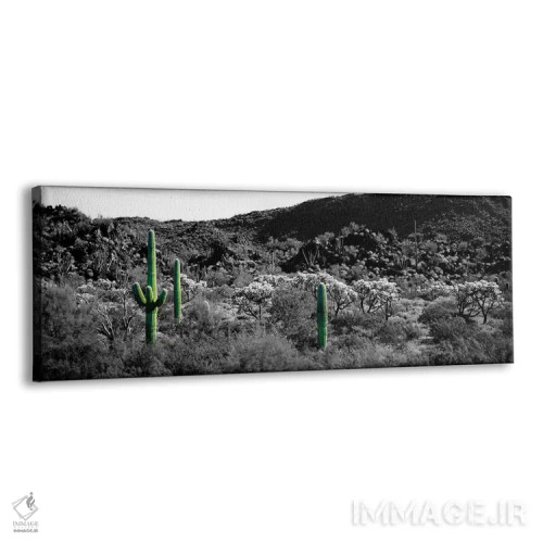 تابلو Sonoran Desert, Arizona, USA Color Pop,کاکتوس ساگوارو در بیابان سونورا آریزونا آمریکا با رنگ تقویتی اثر پانورامیک ایمجز (استودیو عکاسی عریض) - نمای پرسپکتیو محصول