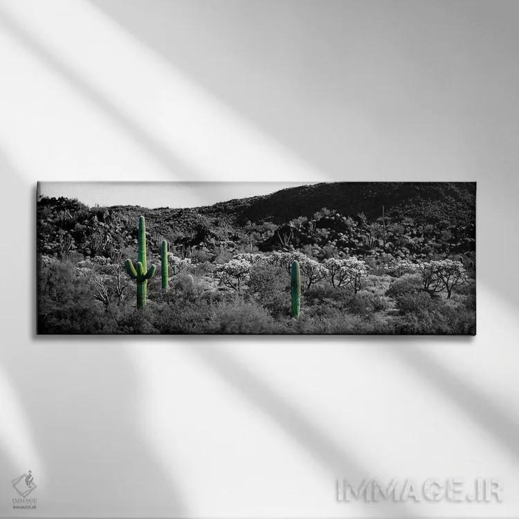 تابلو Sonoran Desert, Arizona, USA Color Pop,کاکتوس ساگوارو در بیابان سونورا آریزونا آمریکا با رنگ تقویتی اثر پانورامیک ایمجز (استودیو عکاسی عریض) - نمای روبهرو روی دیوار