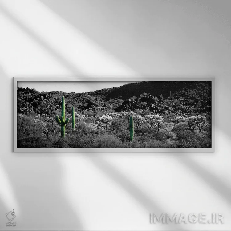 تابلو Sonoran Desert, Arizona, USA Color Pop,کاکتوس ساگوارو در بیابان سونورا آریزونا آمریکا با رنگ تقویتی اثر پانورامیک ایمجز (استودیو عکاسی عریض) - نمای قابدار سفید