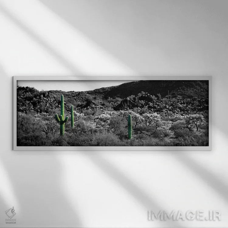 تابلو Sonoran Desert, Arizona, USA Color Pop,کاکتوس ساگوارو در بیابان سونورا آریزونا آمریکا با رنگ تقویتی اثر پانورامیک ایمجز (استودیو عکاسی عریض) - نمای قابدار سفید
