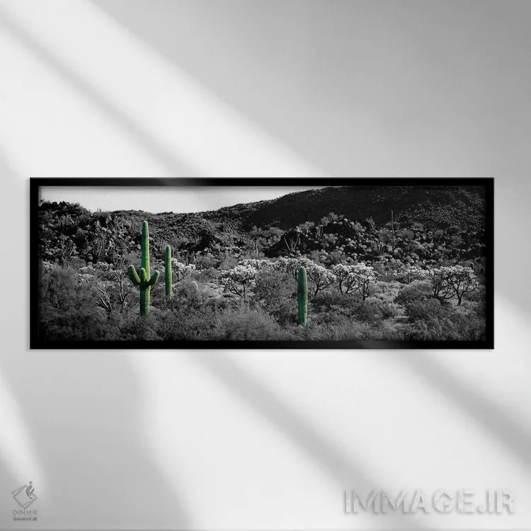 تابلو Sonoran Desert, Arizona, USA Color Pop,کاکتوس ساگوارو در بیابان سونورا آریزونا آمریکا با رنگ تقویتی اثر پانورامیک ایمجز (استودیو عکاسی عریض) - نمای قابدار مشکی
