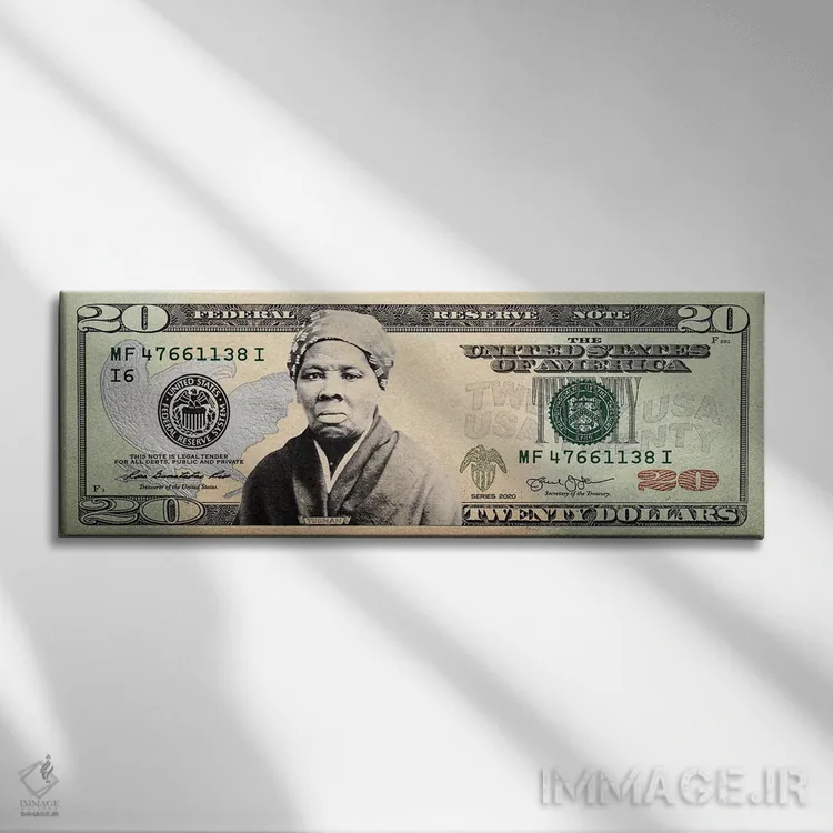 تابلو اسکناس بیست دلاری هریت تابمن اثر فایو بای فایو کالکتیو - نمای روبهرو روی دیوار