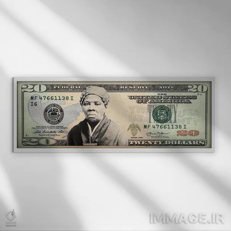 تابلو اسکناس بیست دلاری هریت تابمن اثر فایو بای فایو کالکتیو - نمای قابدار سفید