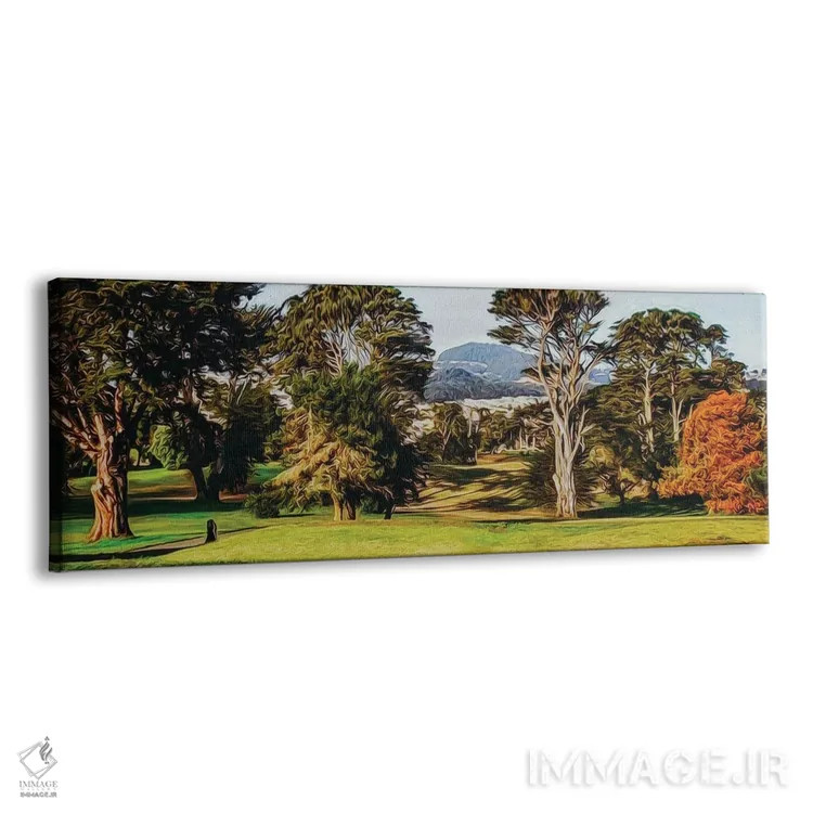 تابلو پارک لینکلن سانفرانسیسکو (آمریکا) اثر ایوجنیا بیدیوک - نمای پرسپکتیو محصول