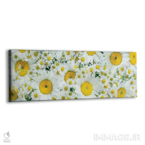 تابلو پسزمینهای از مرواریدهای درشت و ریز اثر ایوجنیا بیدیوک - نمای پرسپکتیو محصول