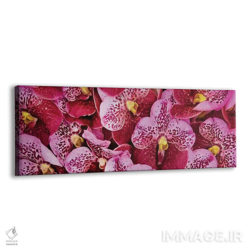 تابلو پسزمینهای از ارکیدههای ببری صورتی اثر ایوجنیا بیدیوک - نمای پرسپکتیو محصول