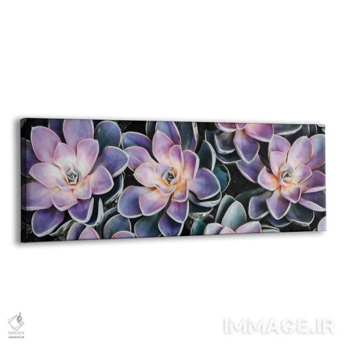 تابلو پسزمینهای از گیاهان گوشتی کوچک اثر ایوجنیا بیدیوک - نمای پرسپکتیو محصول