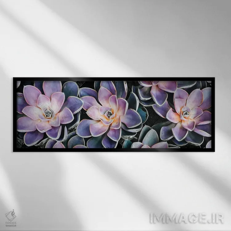 تابلو پسزمینهای از گیاهان گوشتی کوچک اثر ایوجنیا بیدیوک - نمای قابدار مشکی