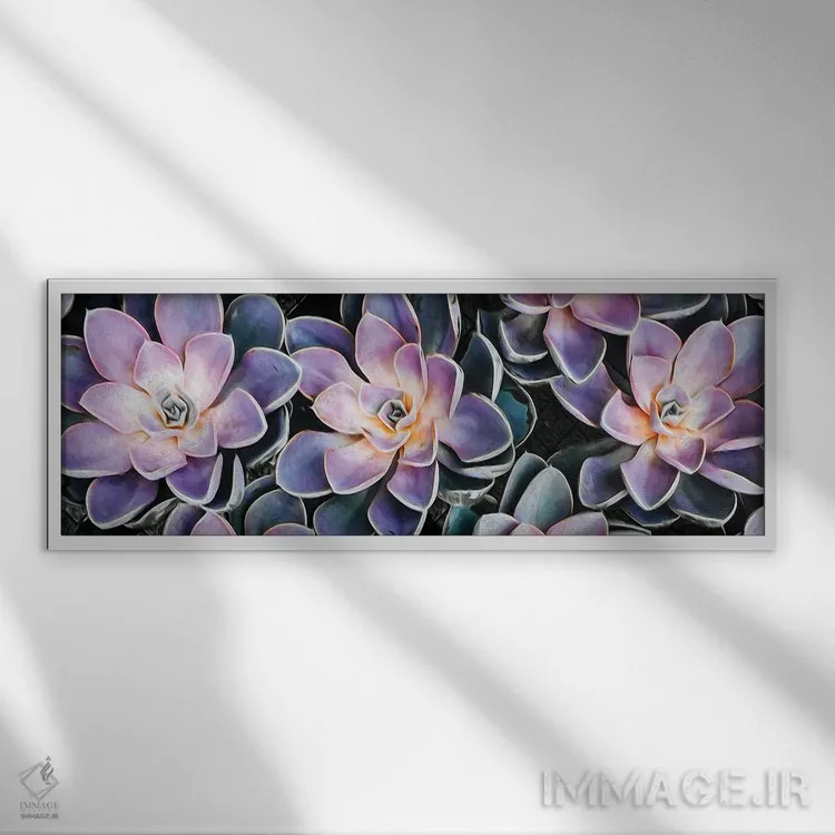 تابلو پسزمینهای از گیاهان گوشتی کوچک اثر ایوجنیا بیدیوک - نمای قابدار سفید