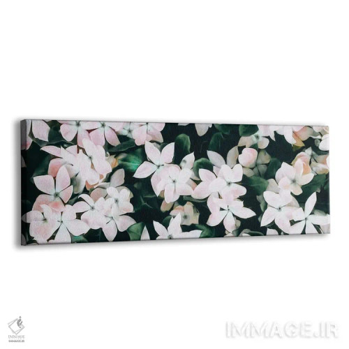 تابلو وینکای صورتی شکوفا اثر ایوجنیا بیدیوک - نمای پرسپکتیو محصول