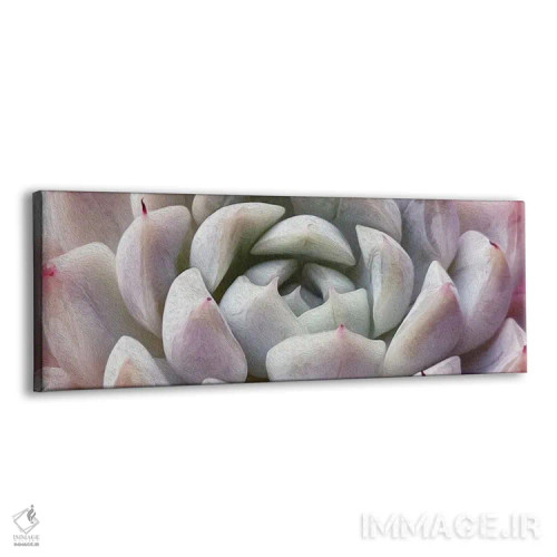 تابلو پسزمینه ساکولنت اثر ایوجنیا بیدیوک - نمای پرسپکتیو محصول