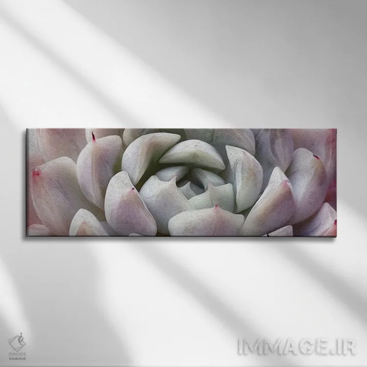 تابلو پسزمینه ساکولنت اثر ایوجنیا بیدیوک - نمای روبهرو روی دیوار