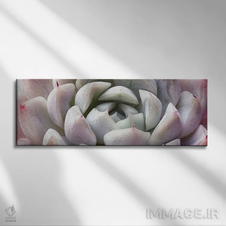 تابلو پسزمینه ساکولنت اثر ایوجنیا بیدیوک - نمای روبهرو روی دیوار