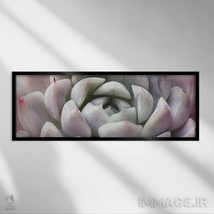 تابلو پسزمینه ساکولنت اثر ایوجنیا بیدیوک - نمای قابدار مشکی