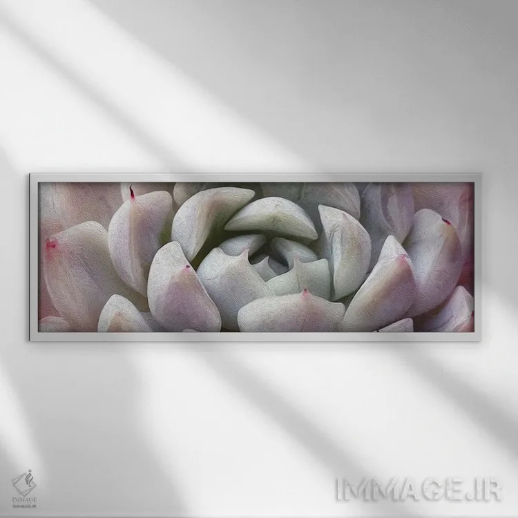 تابلو پسزمینه ساکولنت اثر ایوجنیا بیدیوک - نمای قابدار سفید