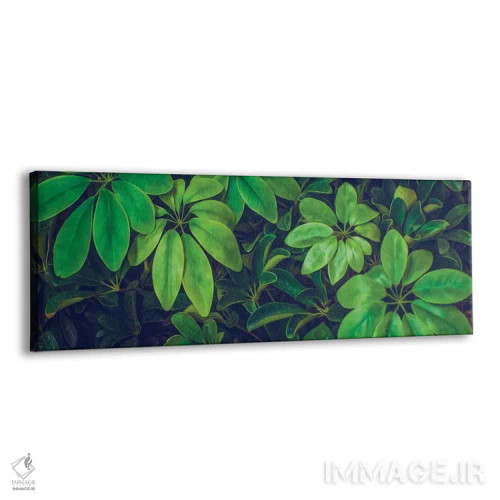 تابلو پسزمینه گیاه شفلرا نورا اثر ایوجنیا بیدیوک - نمای پرسپکتیو محصول