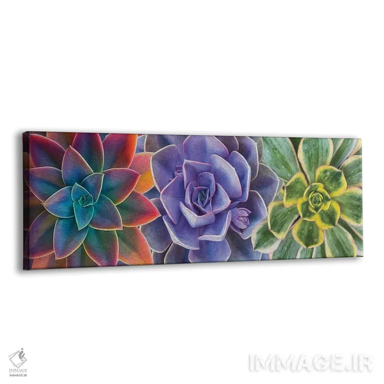 تابلو پسزمینهای از ساکولنتهای رنگارنگ اثر ایوجنیا بیدیوک - نمای پرسپکتیو محصول