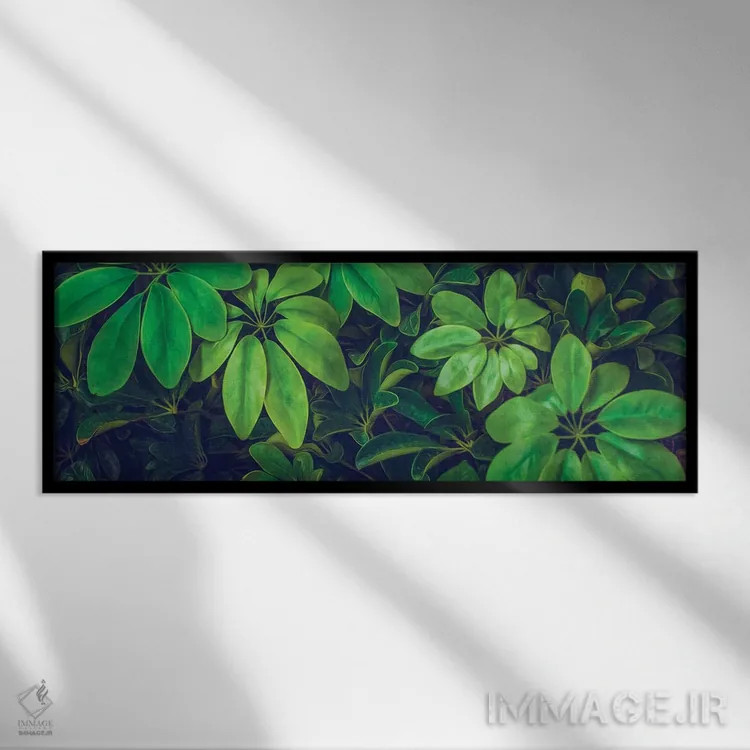 تابلو پسزمینه گیاه شفلرا نورا اثر ایوجنیا بیدیوک - نمای قابدار مشکی