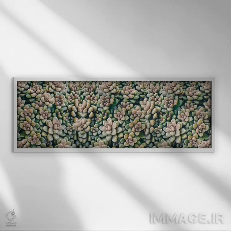 تابلو پسزمینهای از ساکولنتهای کوچک اثر ایوجنیا بیدیوک - نمای قابدار سفید