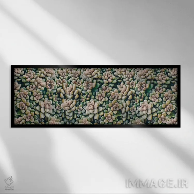 تابلو پسزمینهای از ساکولنتهای کوچک اثر ایوجنیا بیدیوک - نمای قابدار مشکی