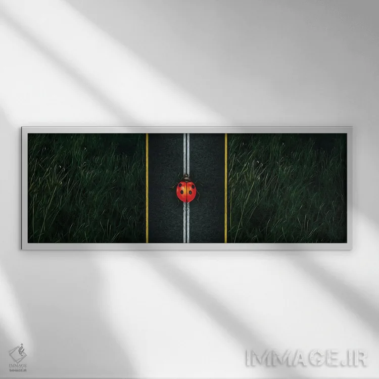 تابلو نمای نزدیک یک کفشدوزک روی بزرگراه اثر ایوجنیا بیدیوک - نمای قابدار سفید