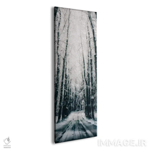 تابلو جادهای در جنگل زمستانی اثر ایوجنیا بیدیوک - نمای پرسپکتیو محصول