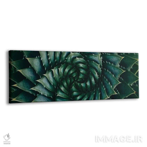 تابلو نمای نزدیک آلوئه آریستاتا اثر ایوجنیا بیدیوک - نمای پرسپکتیو محصول